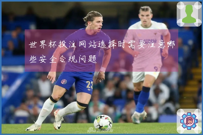 世界杯投注网站选择时需要注意哪些安全合规问题