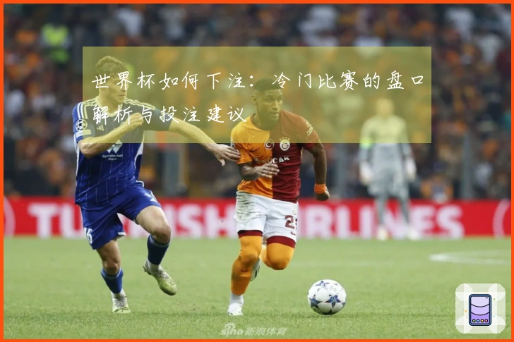 世界杯如何下注：冷门比赛的盘口解析与投注建议