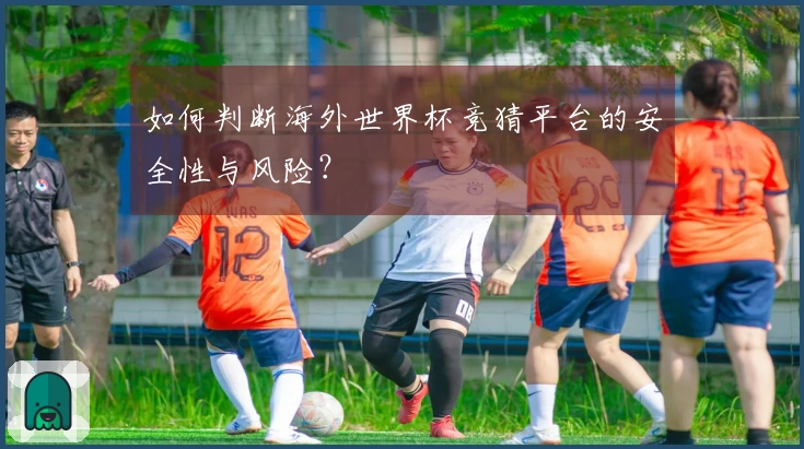 如何判断海外世界杯竞猜平台的安全性与风险？