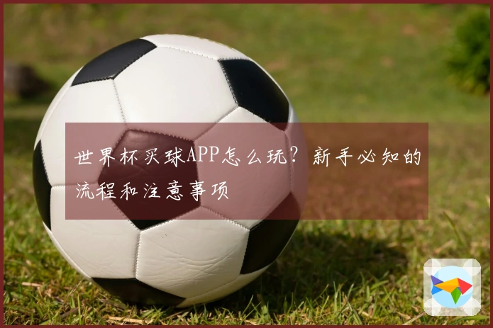 世界杯买球APP怎么玩？新手必知的流程和注意事项