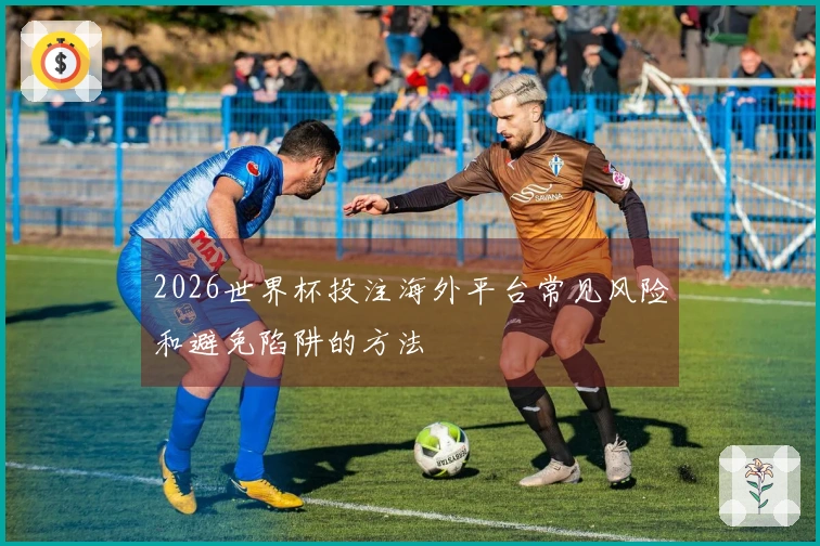 2026世界杯投注海外平台常见风险和避免陷阱的方法