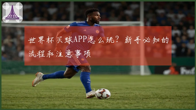 世界杯买球APP怎么玩？新手必知的流程和注意事项
